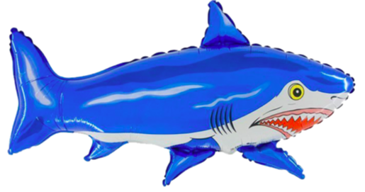 Žralok - modrý