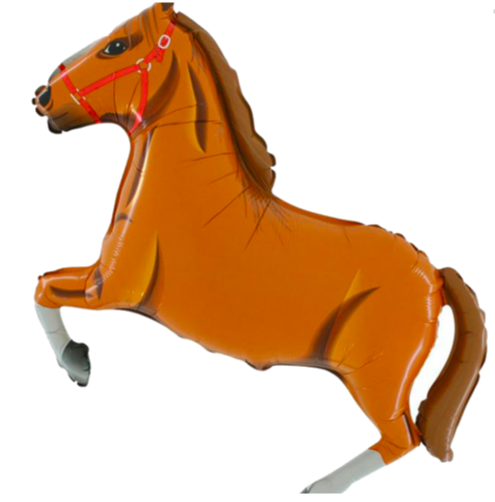 Kůň Grabo - hnědý