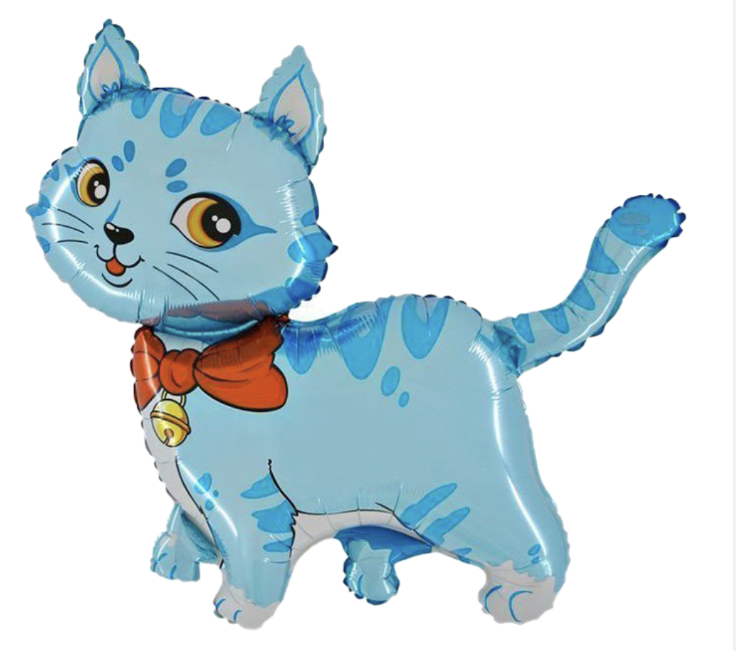 Kotě modrá VF